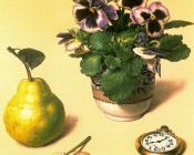 斯通 罗伯茨 : -Unknown